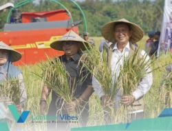 Panen raya di Lombok Utara, Dirut Bulog tegaskan NTB kunci target 4 juta ton beras nasional
