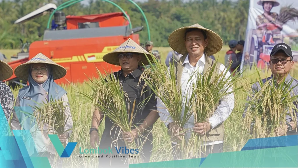 Property of Lombokvibes.com