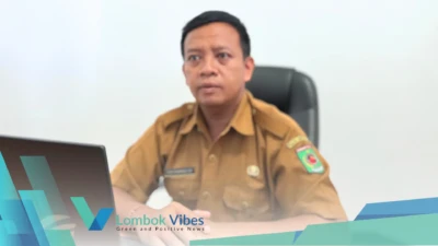 Property of Lombokvibes.com