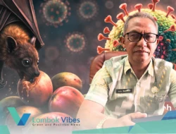 Dinkes Lombok Utara warning virus nipah: Bisa menular dari kelelawar buah, risiko kematian 50-70%
