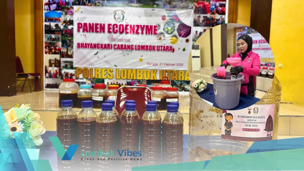 Property of Lombokvibes.com