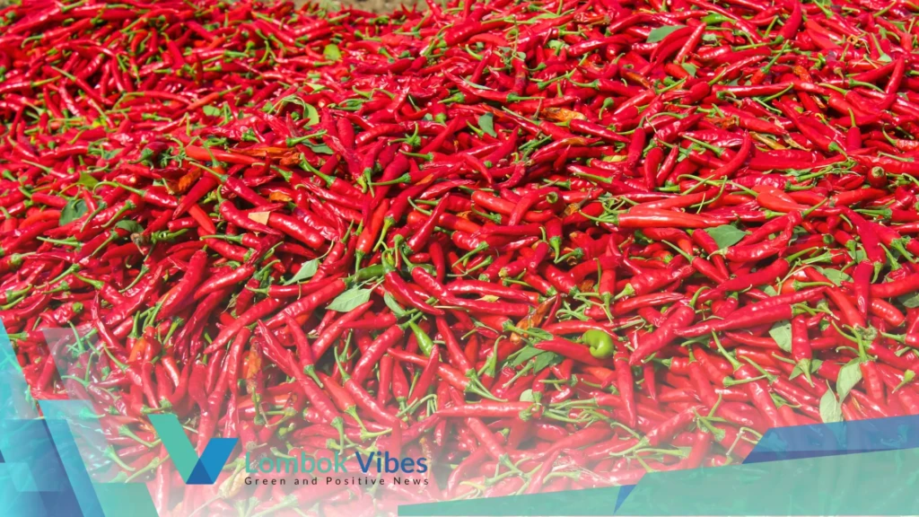 Property of Lombokvibes.com