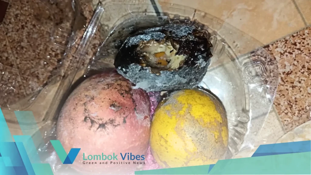 Property of Lombokvibes.com