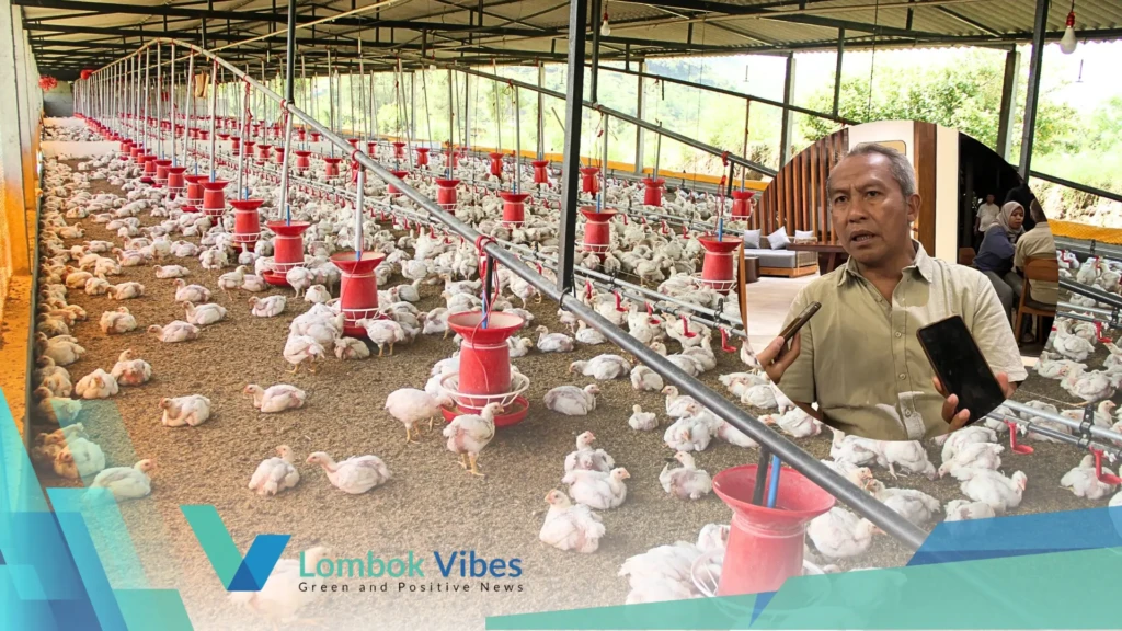 Property of Lombokvibes.com