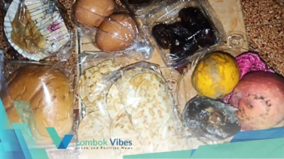 Property of Lombokvibes.com