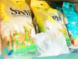 NTB siapkan KUR Rp30 miliar untuk Koperasi bidik pasar raksasa MBG