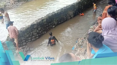 Property of Lombokvibes.com