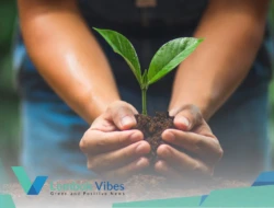 Datang ke Lombok Tengah, Gubernur ajak warga tanam pohon untuk cegah banjir