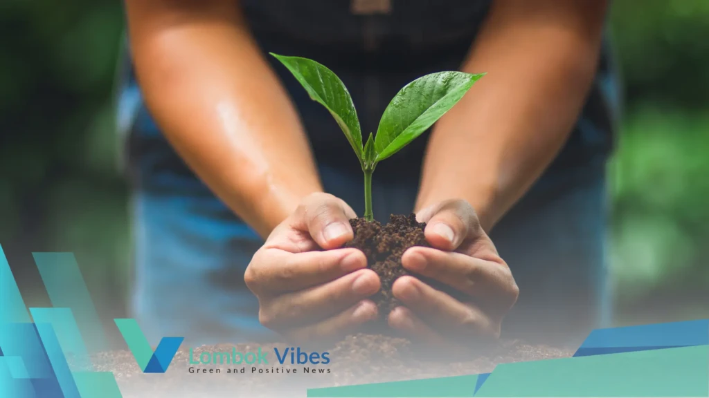 Property of Lombokvibes.com