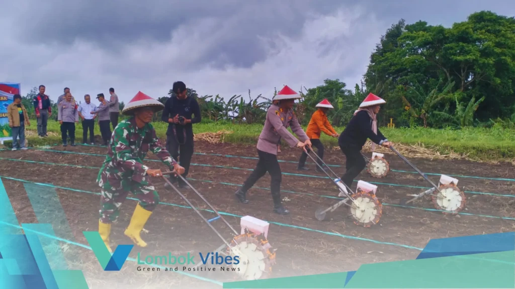 Property of Lombokvibes.com