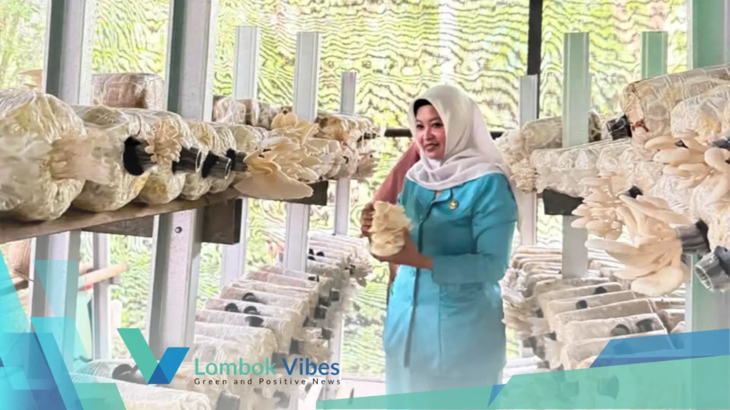 Property of Lombokvibes.com