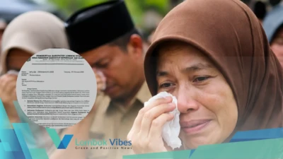 Property of Lombokvibes.com