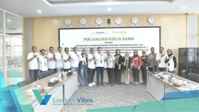 Property of Lombokvibes.com