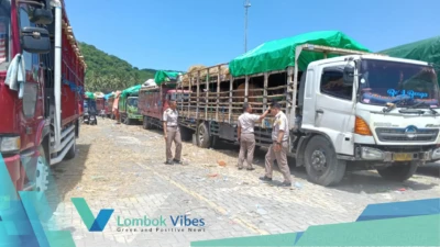 Property of Lombokvibes.com