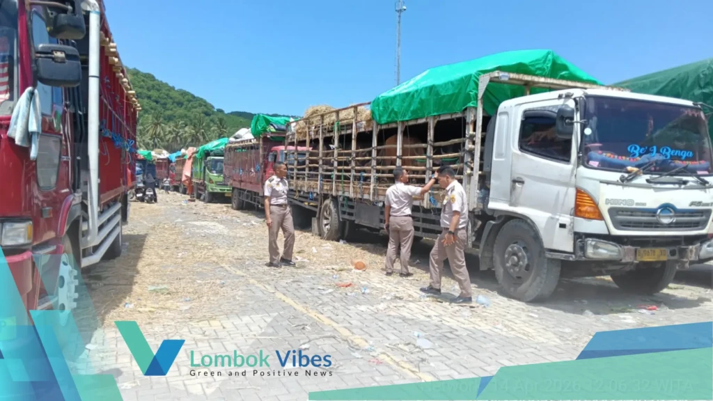 Property of Lombokvibes.com