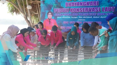 Property of Lombokvibes.com