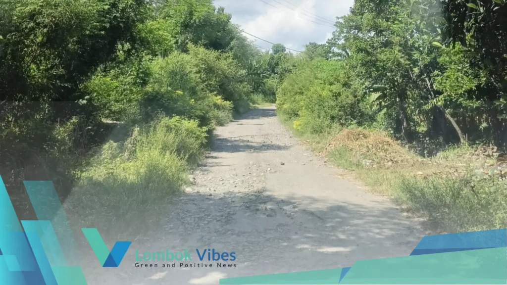 Property of Lombokvibes.com