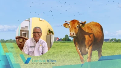 Property of Lombokvibes.com