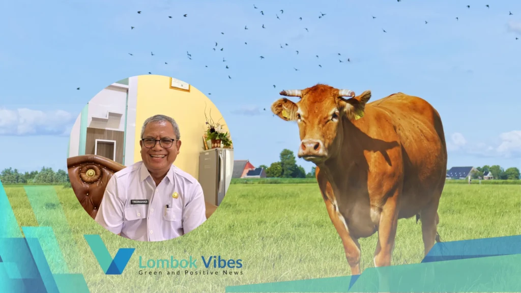 Property of Lombokvibes.com