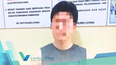 Property of Lombokvibes.com