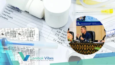 Property of Lombokvibes.com