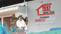 Property of Lombokvibes.com