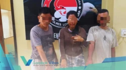 Property of Lombokvibes.com