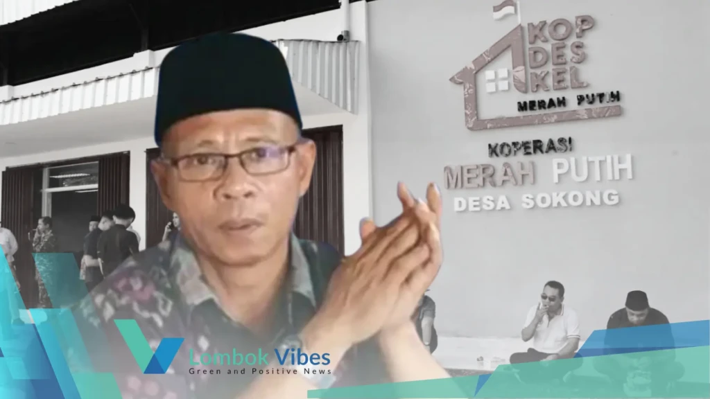 Property of Lombokvibes.com