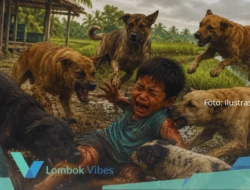 DKP3 Lombok Utara akui serba salah tertibkan populasi anjing liar: Eliminasi bisa pidana, dibiarkan makan korban