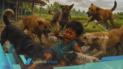 Property of Lombokvibes.com