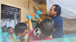 Misteri obrolan telepon tengah malam, pelajar asal Lombok Tengah ditemukan tewas tergantvng di Pemenang