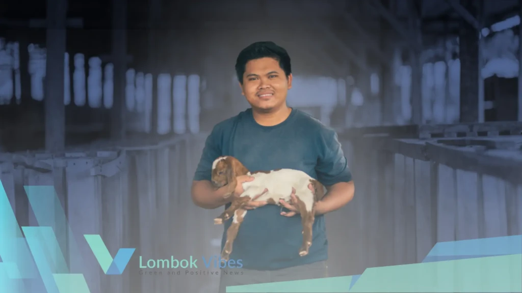 Property of Lombokvibes.com