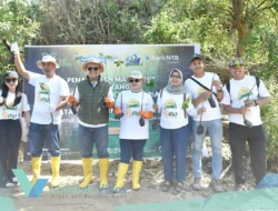 Peringati Hari Mangrove sedunia dan HUT ke-62, Bank NTB Syariah tanam mangrove di Kawasan Ekowisata Paremas