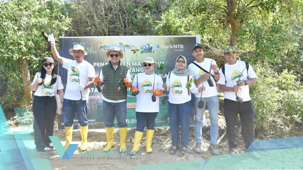 Property of Lombokvibes.com