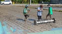 Lombok Utara genjot PMAAS, Produktivitas padi ditarget naik dua kali lipat
