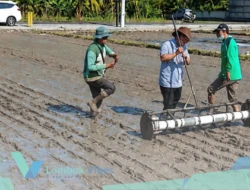Lombok Utara genjot PMAAS, Produktivitas padi ditarget naik dua kali lipat