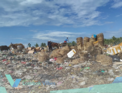 Investor beli 6 hektare lahan di Jugil, TPST modern disiapkan untuk atasi sampah Gili Trawangan