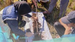 Mahasiswa KPJ UGM ungkap potensi dan masalah lingkungan Lombok Tengah lewat 16 Penelitian Geospasial
