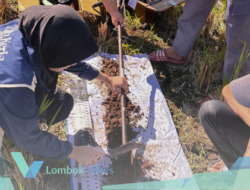 Mahasiswa KPJ UGM ungkap potensi dan masalah lingkungan Lombok Tengah lewat 16 Penelitian Geospasial