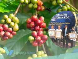 Kopi Robusta Lombok Utara resmi kantongi sertifikat IG, siap tembus pasar dunia