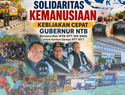 Pelajaran dari Gempa NTT: Respons cepat NTB jadi contoh solidaritas antar wilayah 