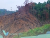 Illegal logging masih dominasi kejahatan kehutanan, deforestasi Indonesia naik 37 persen 