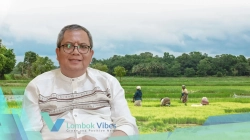 Kekeringan mulai mengancam, DKP3 KLU minta petani gilir air dan perbaiki irigasi