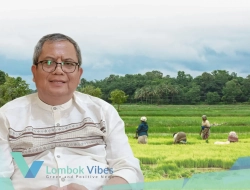 Kekeringan mulai mengancam, DKP3 KLU minta petani gilir air dan perbaiki irigasi