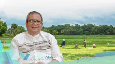 Property of Lombokvibes.com