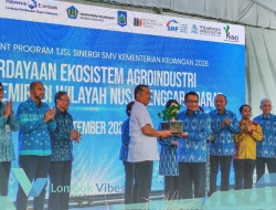 Tak mau bergantung pada tambang, NTB dorong kemiri dan vanili kuasai pasar global
