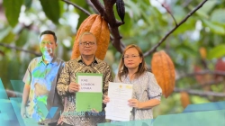 836 hektare kebun kakao Lombok Utara dapat suntikan bantuan pusat, petani disiapkan bibit hingga pupuk 