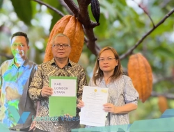 836 hektare kebun kakao Lombok Utara dapat suntikan bantuan pusat, petani disiapkan bibit hingga pupuk 