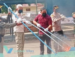 Rokok ilegal senilai Rp10,2 miliar dimusnahkan, Satpol PP KLU perkuat pengawasan