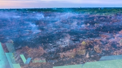 FWI soroti multi usaha kehutanan, konflik lahan hingga deforestasi dinilai belum tuntas